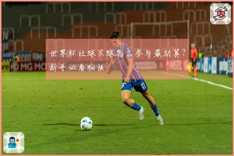 世界杯让球买球怎么参与最划算？新手必看秘诀