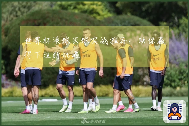 世界杯滚球买球实战推荐，助你赢得下注新机遇