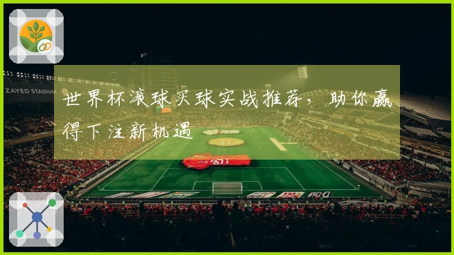 世界杯滚球买球实战推荐，助你赢得下注新机遇
