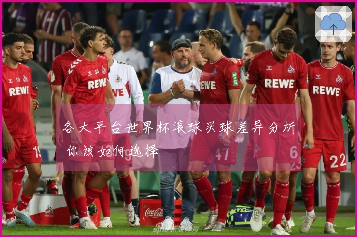 各大平台世界杯滚球买球差异分析 你该如何选择