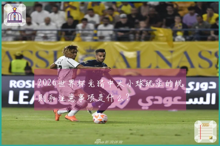 2026世界杯竞猜中大小球玩法的规则和注意事项是什么？