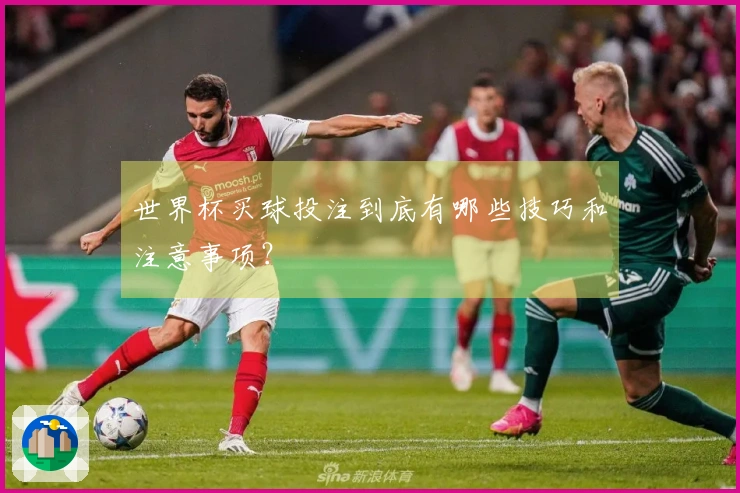 世界杯买球投注到底有哪些技巧和注意事项?
