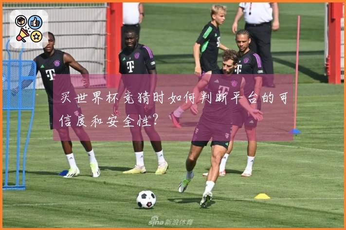 买世界杯竞猜时如何判断平台的可信度和安全性？