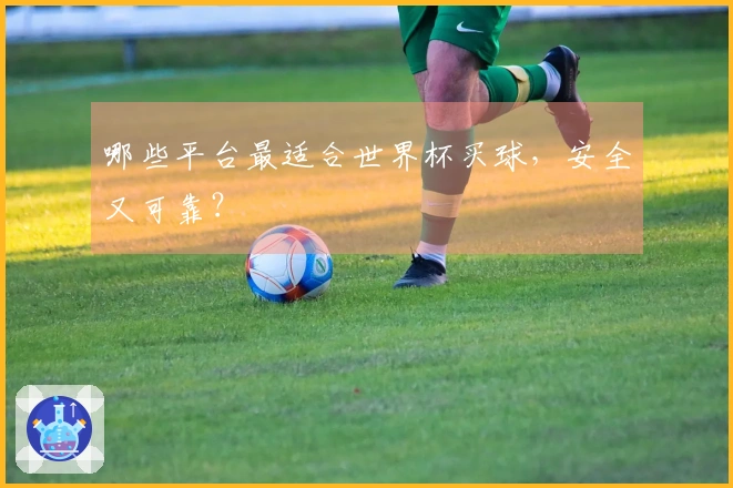 哪些平台最适合世界杯买球，安全又可靠？