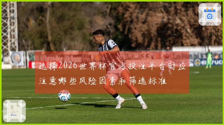 选择2026世界杯官方投注平台时应注意哪些风险因素和筛选标准