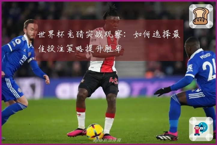 世界杯竞猜实战观察：如何选择最佳投注策略提升胜率