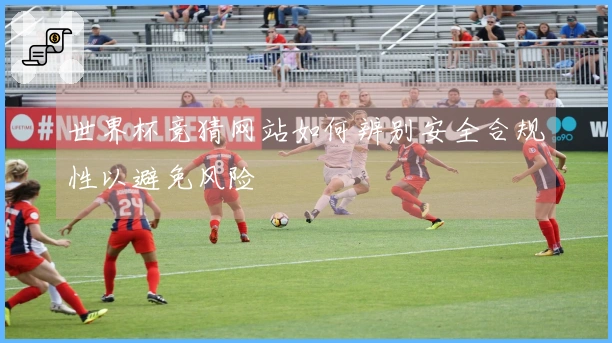 世界杯竞猜网站如何辨别安全合规性以避免风险