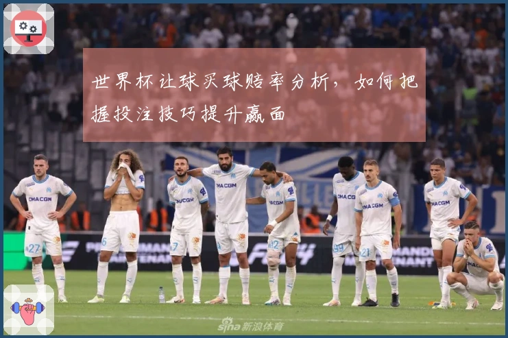 世界杯让球买球赔率分析，如何把握投注技巧提升赢面