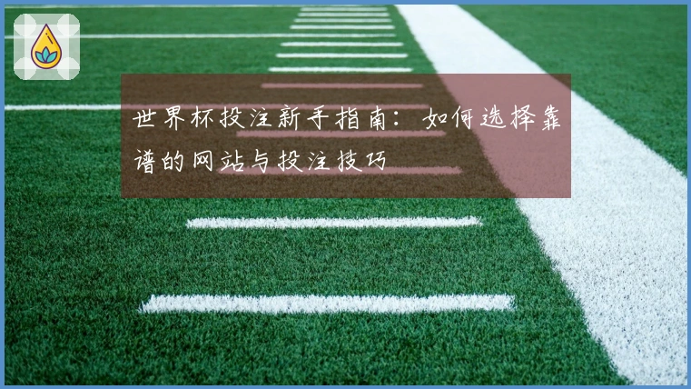 世界杯投注新手指南：如何选择靠谱的网站与投注技巧