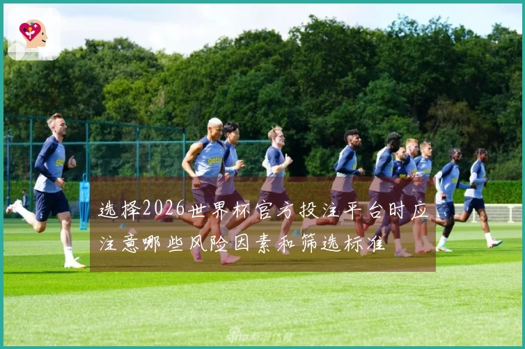 选择2026世界杯官方投注平台时应注意哪些风险因素和筛选标准